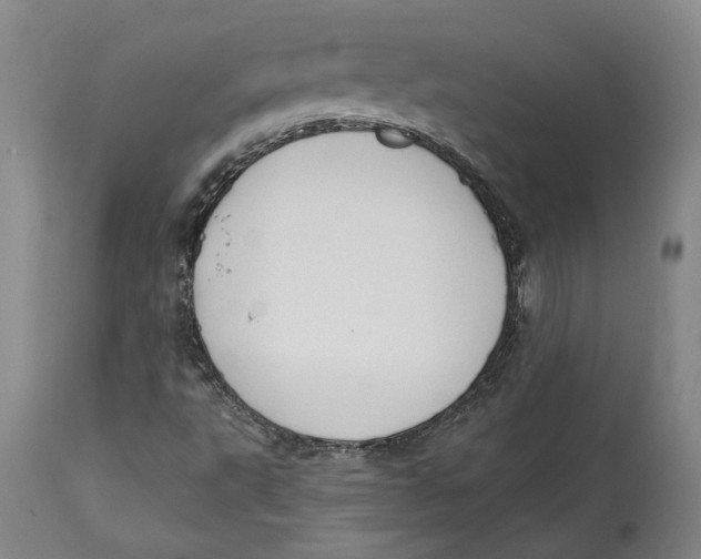 X0000114571495200911161234