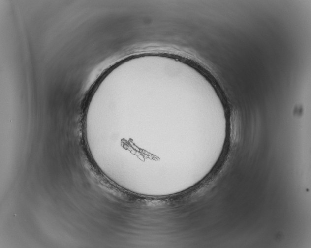 X0000114571501200911161234