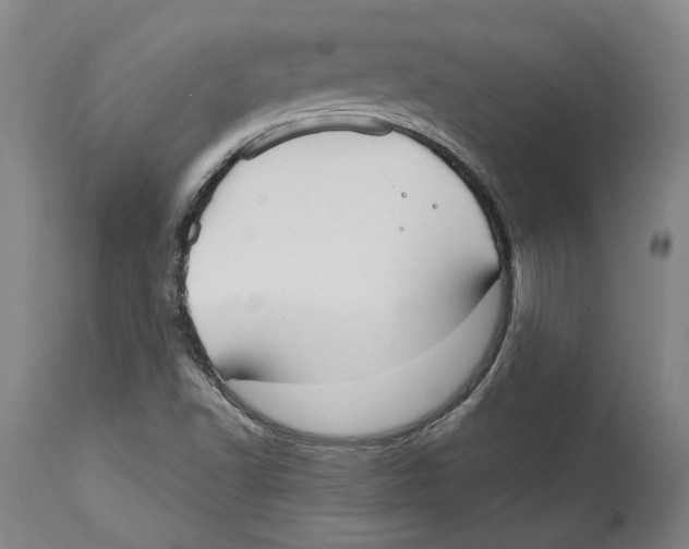 X0000114571502200911161234