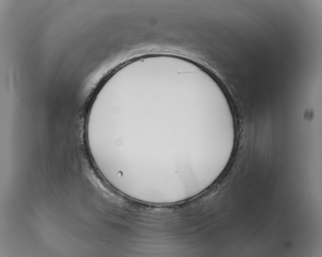 X0000114571503200911161234