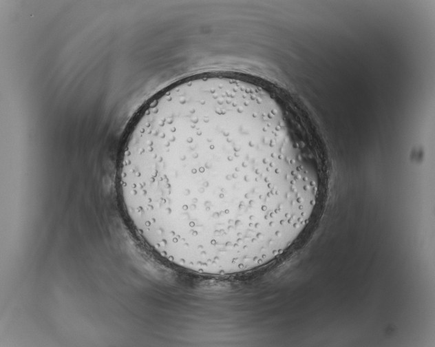 X0000114571505200911161234