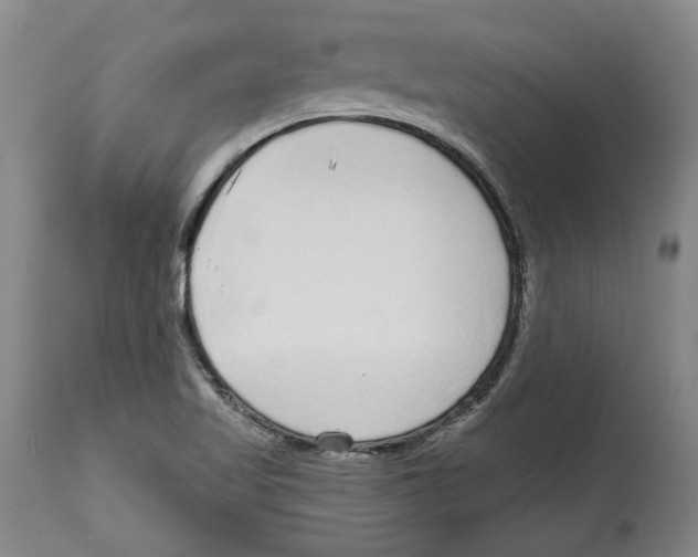 X0000114571509200911161234