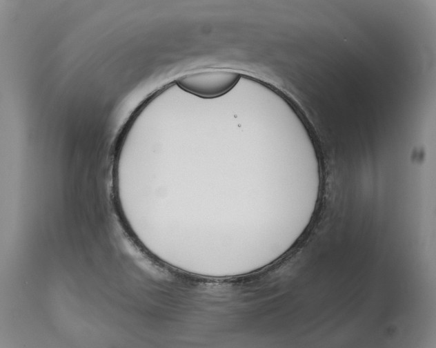 X0000114571511200911161234