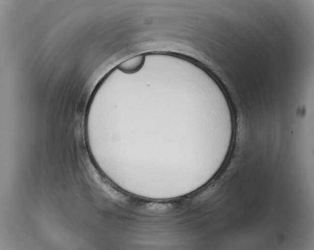 X0000114571513200911161234