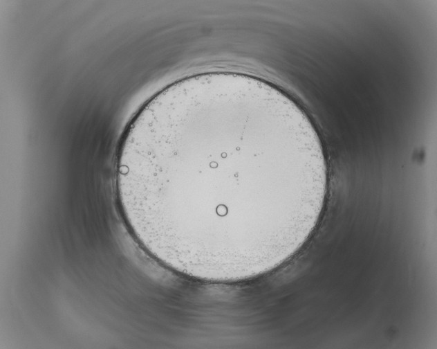 X0000114571514200911161234