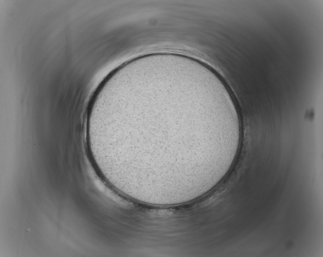 X0000114571515200911161234