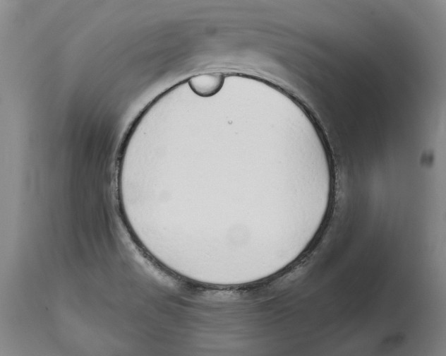 X0000114571517200911161235