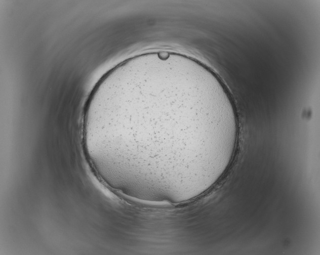 X0000114571519200911161235