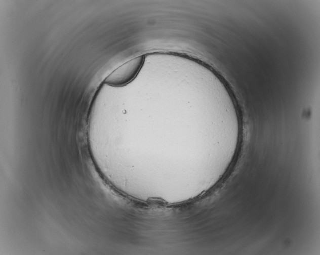 X0000114571521200911161235