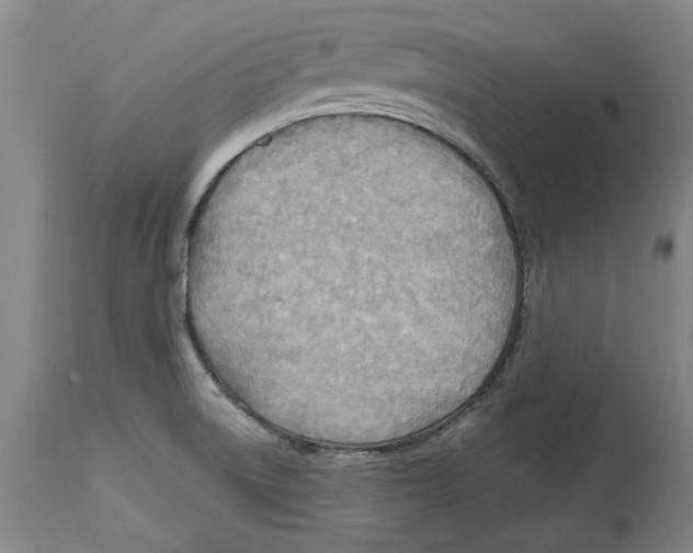 X0000114571522200911161235