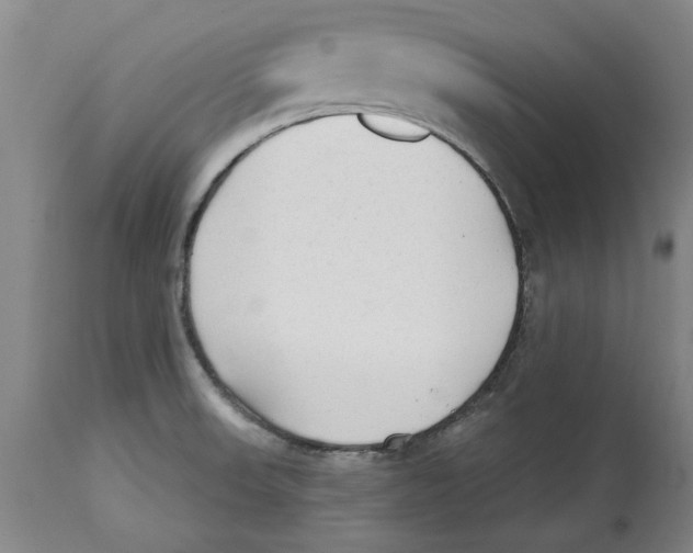 X0000114571523200911161235