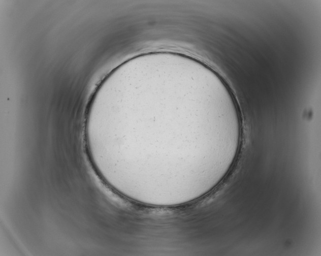 X0000114571525200911161235