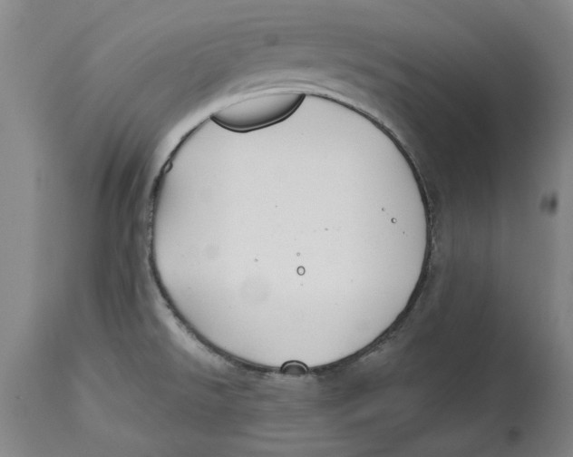 X0000114571526200911161235