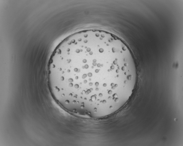 X0000114571527200911161235