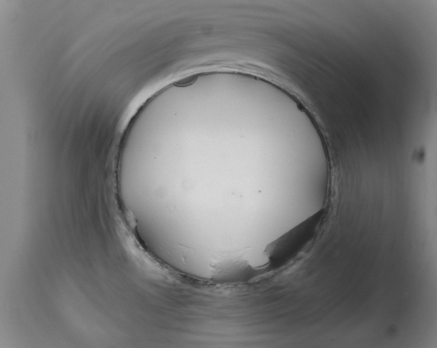 X0000114571530200911161235