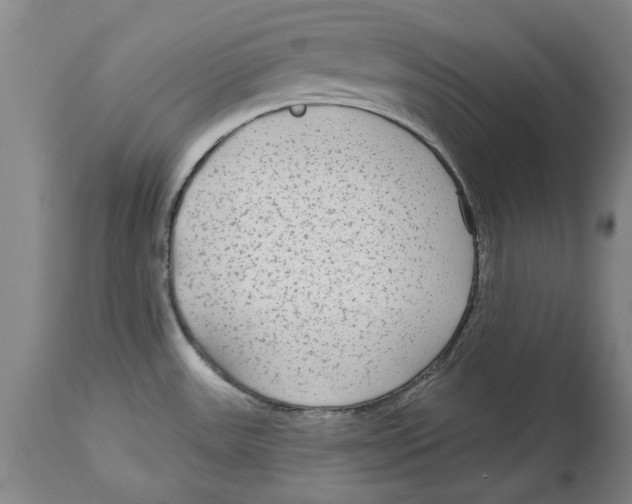 X0000114571531200911161235