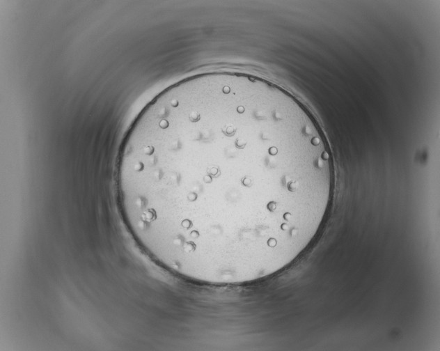 X0000114571533200911161235