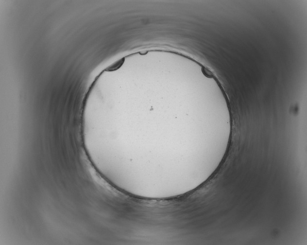 X0000114571534200911161235