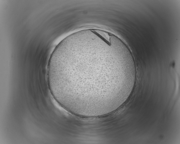 X0000114571535200911161235