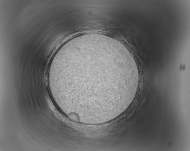 X0000114570002200911301322