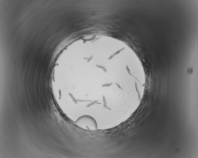 X0000114570004200911301322