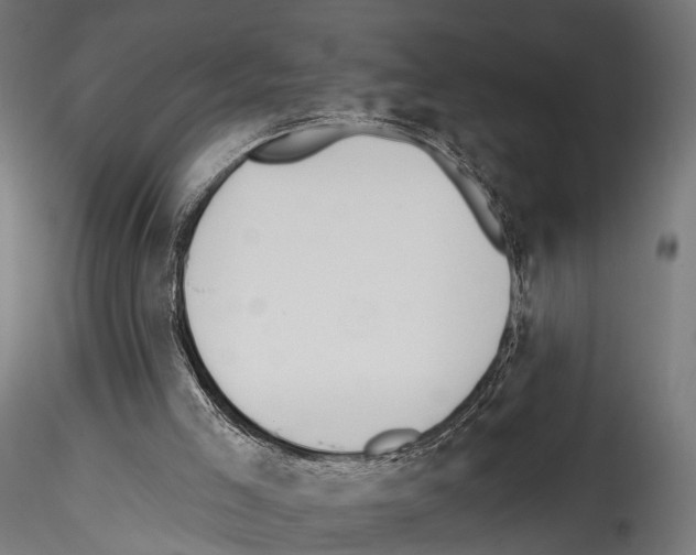 X0000114570005200911301322