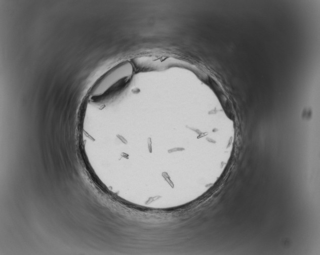 X0000114570008200911301322