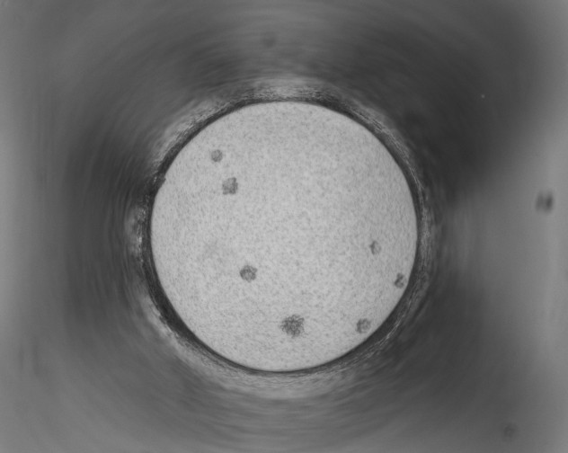 X0000114570010200911301322