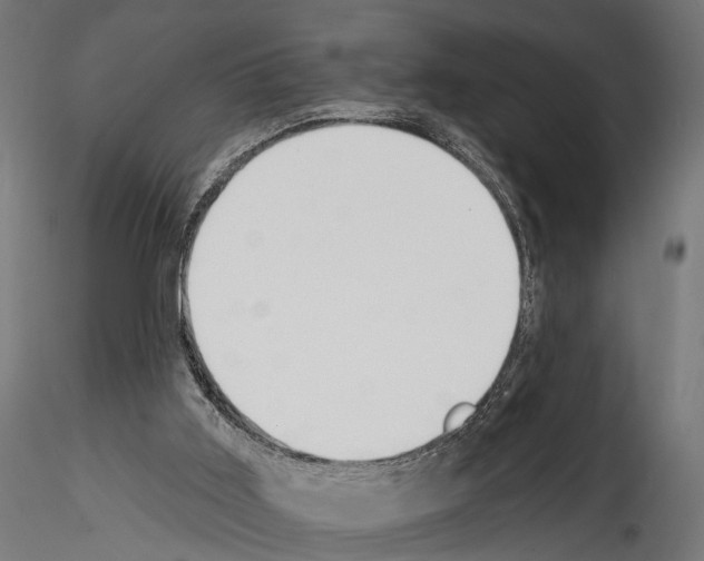 X0000114570011200911301322