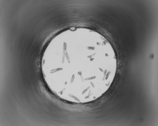 X0000114570012200911301322