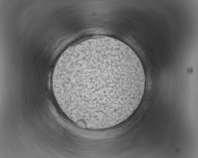 X0000114570014200911301322