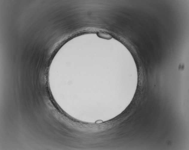 X0000114570015200911301322