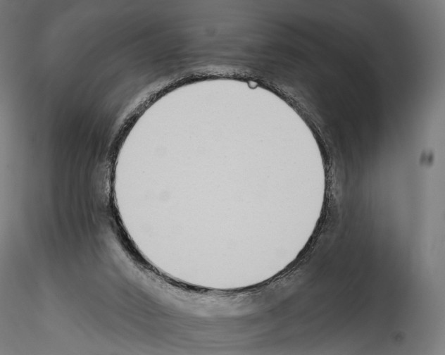 X0000114570016200911301322