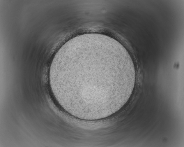 X0000114570018200911301322