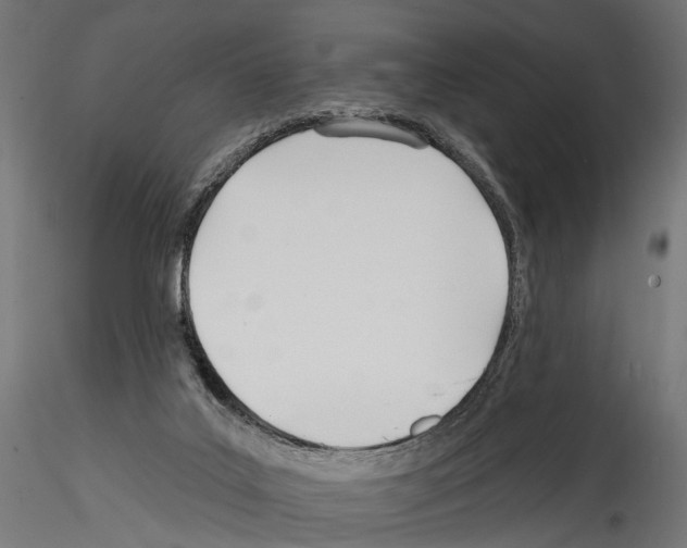 X0000114570019200911301322