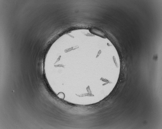 X0000114570020200911301322