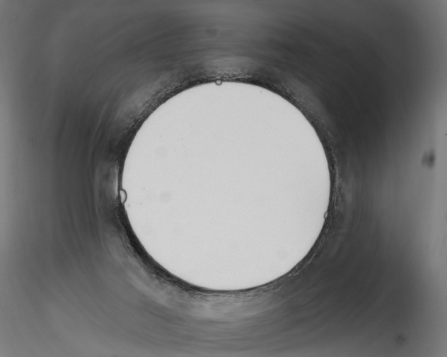 X0000114570021200911301322