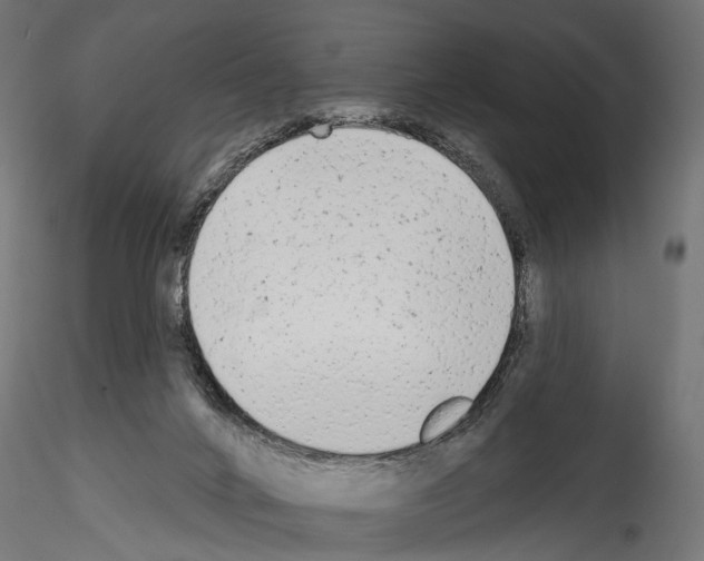 X0000114570024200911301322