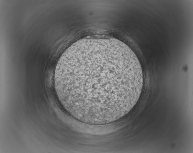 X0000114570026200911301321