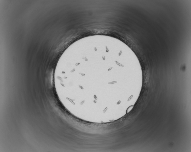 X0000114570028200911301321