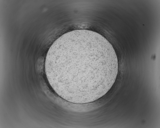 X0000114570030200911301321