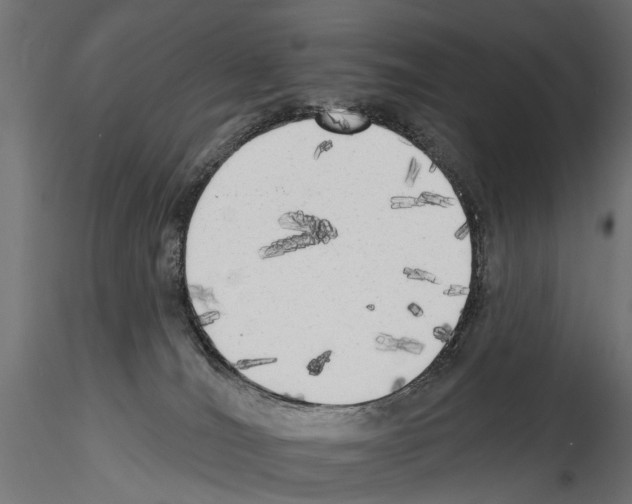 X0000114570036200911301321