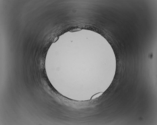 X0000114570039200911301321