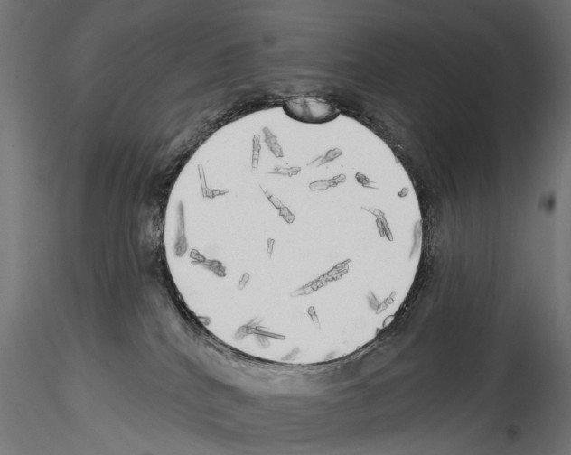 X0000114570040200911301321