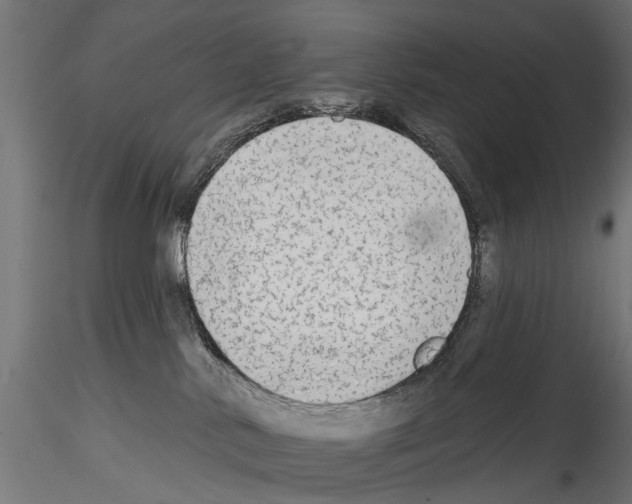 X0000114570042200911301321