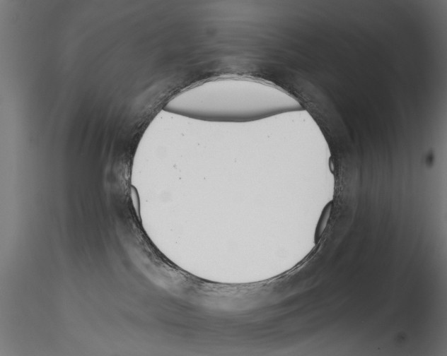 X0000114570045200911301321