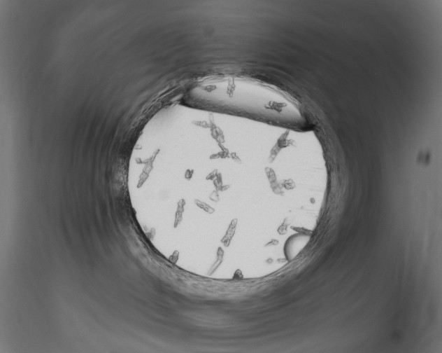 X0000114570048200911301321