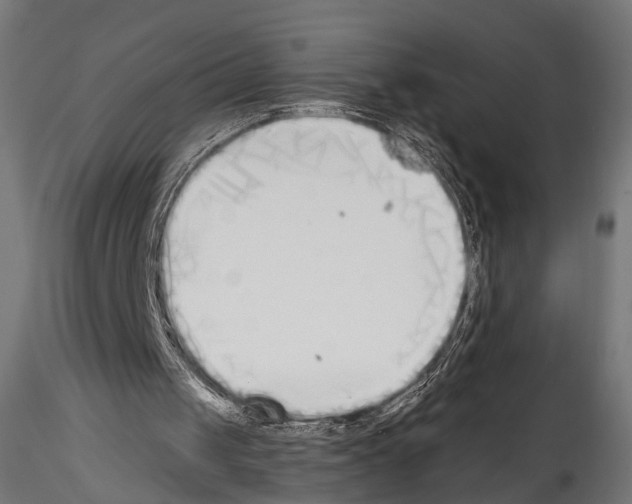 X0000114570049200911301321