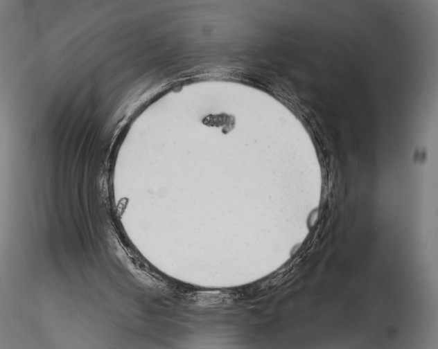 X0000114570050200911301321