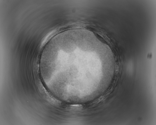 X0000114570053200911301321